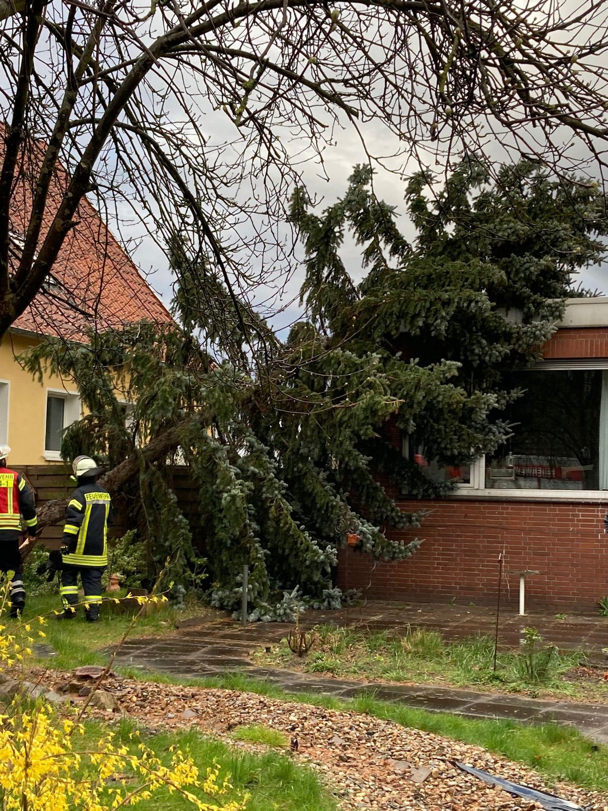 Baum auf Haus gefallen